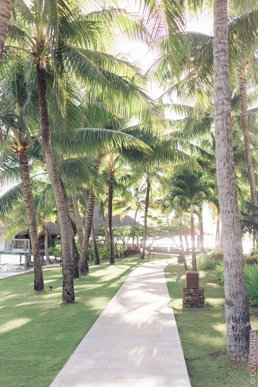 2-14042016-IMG_2983-Olivia Poncelet 830 BLOG Four Seasons Resort Bora Bora