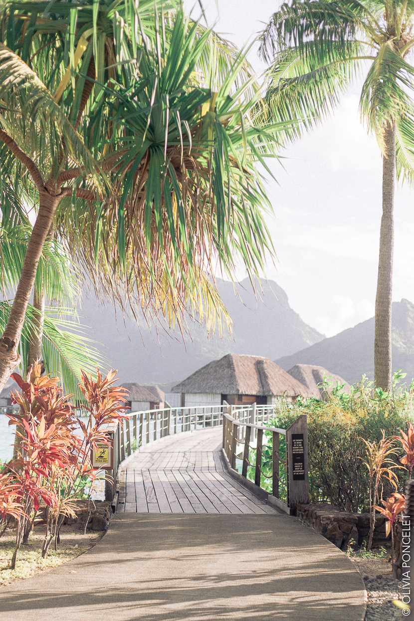 21-14042016-IMG_2998-Olivia Poncelet 830 BLOG Four Seasons Resort Bora Bora