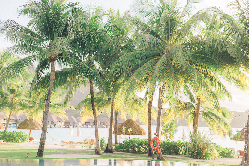 46-14042016-IMG_3312-Olivia Poncelet 830 BLOG Four Seasons Resort Bora Bora