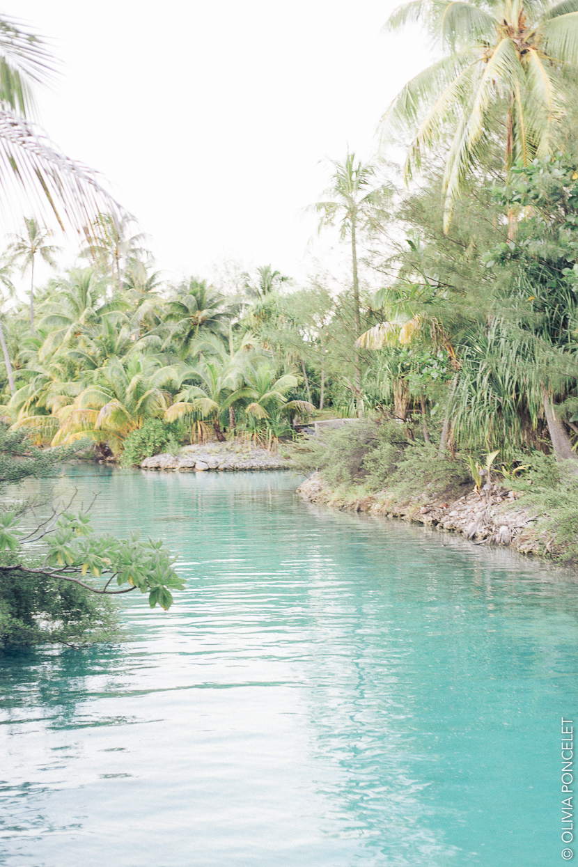 66-14042016-IMG_3382-Olivia Poncelet 830 BLOG Four Seasons Resort Bora Bora