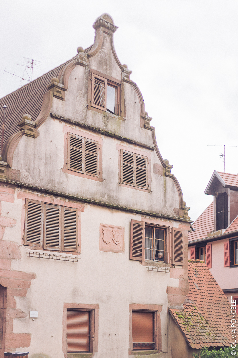 30-13062016-IMG_7877-Olivia Poncelet 830 BLOG alsace day2