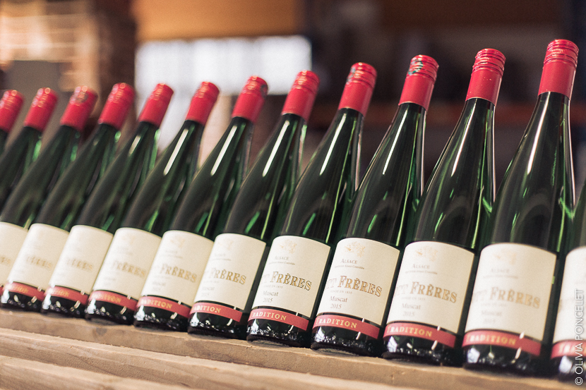 20-14062016-IMG_8097-Olivia Poncelet 830 BLOG Alsace Day 3