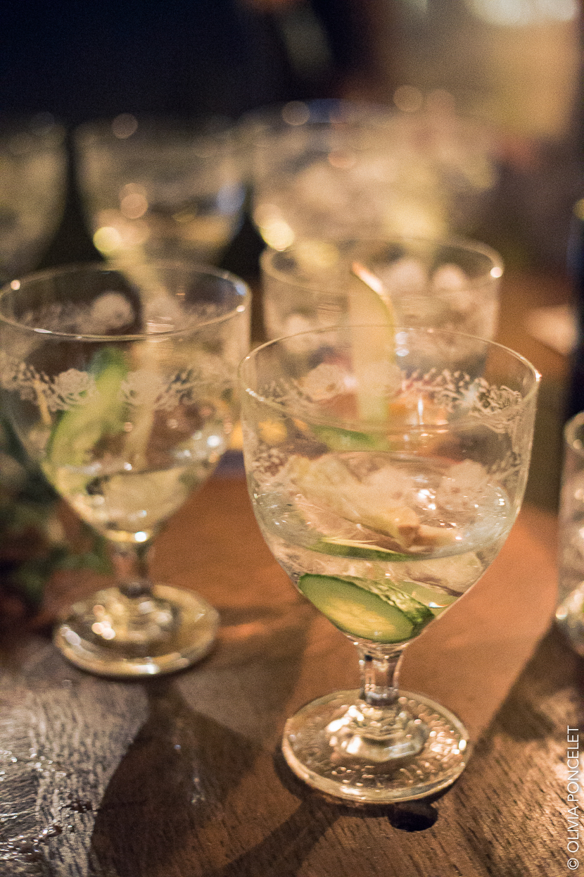 30-20102016-hendricks-gin-olivia-poncelet-830-blog